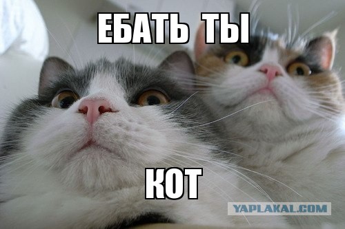 Портреты с привкусом провокационной театральности.