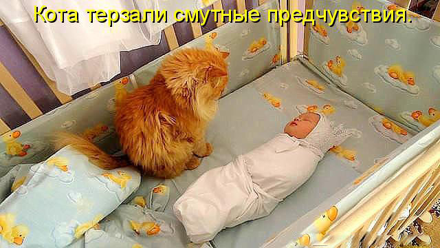 Заботливый кот уложил ребенка спать
