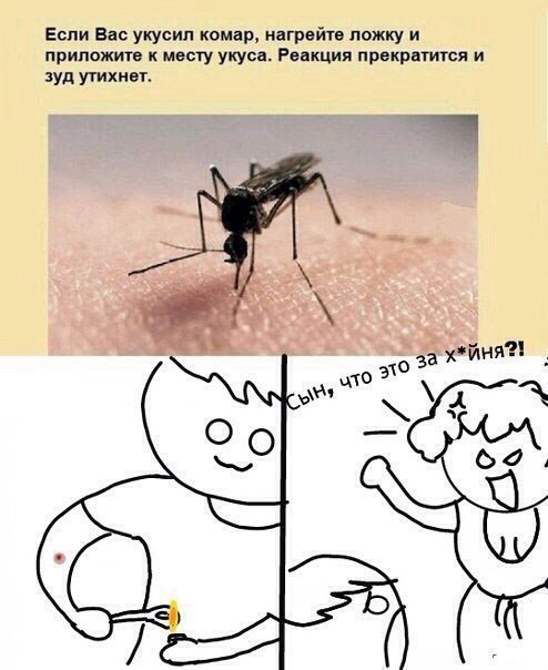 Веселые картинки
