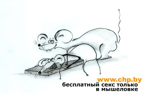 ГРЫЗУНЫ. Мыши, крысы, хомячки и т.д.