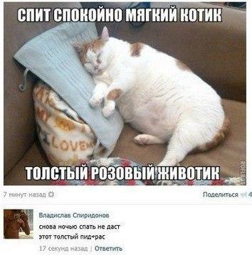 Отовсюду понемногу