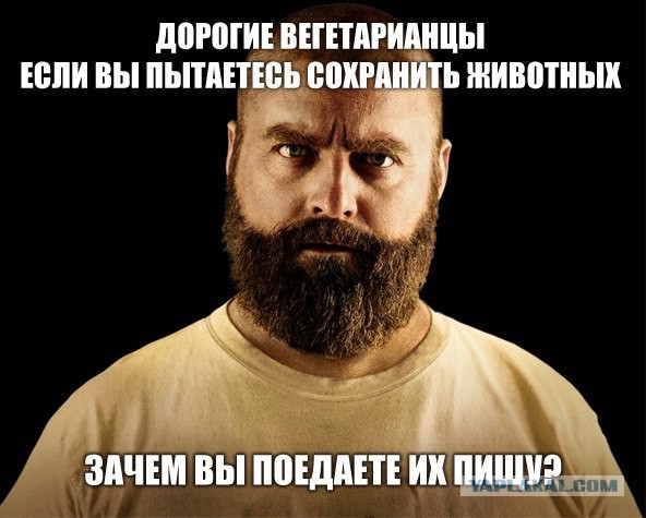 Веганы против мясоедов