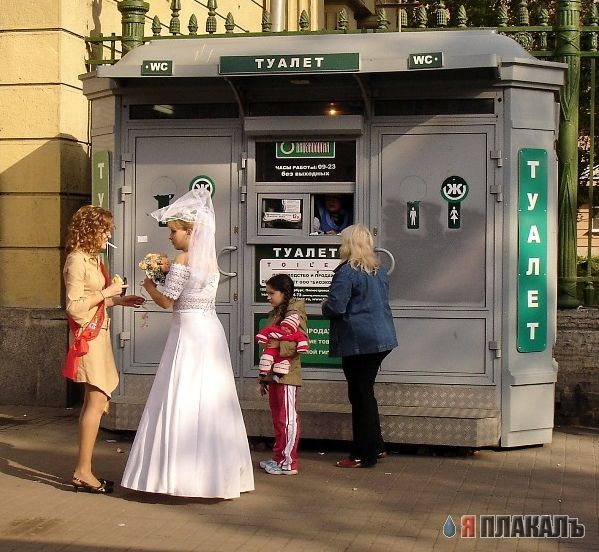 Свадьба, женихи и невесты