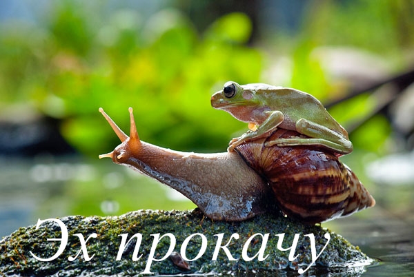 Картинки из ваших этих итернетов...3