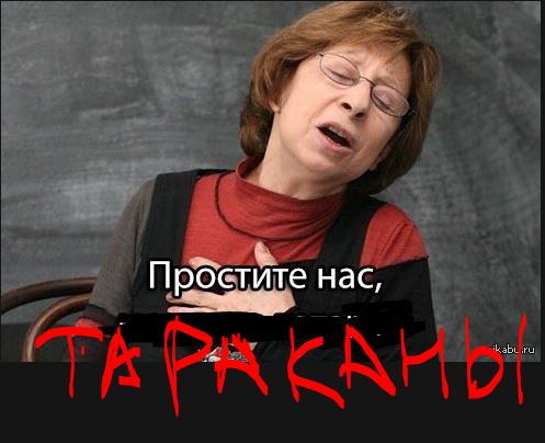 В городе Узловая Тульской области неизвестный расстреливает собак из охотничьего ружья