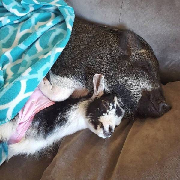 Подборка картинок