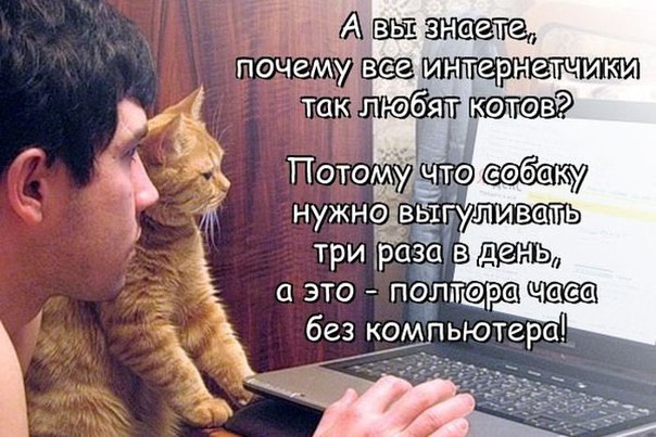 Мохнатые беспредельщики