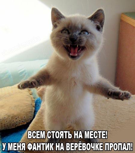 Мохнатые беспредельщики