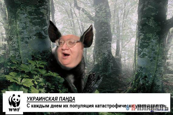 ХРЮШКИ. Уголок Пятачка, кабаны, свиньи