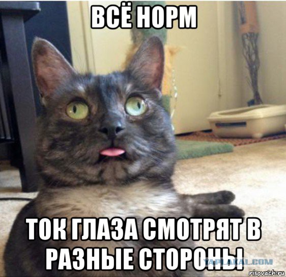 Попосиськопляс