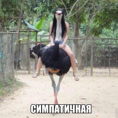 Немного картинок и гифок для пятничного настроения.