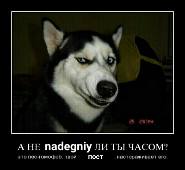 Стройка дома