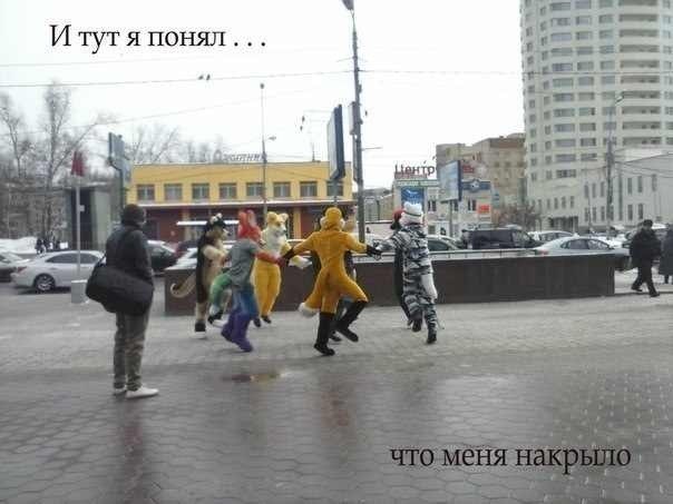 Подборка безудержного веселья