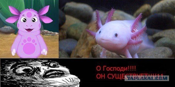 Синее расследование: реальный Лунтик.