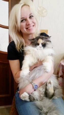 Котовторник  25.07.2017