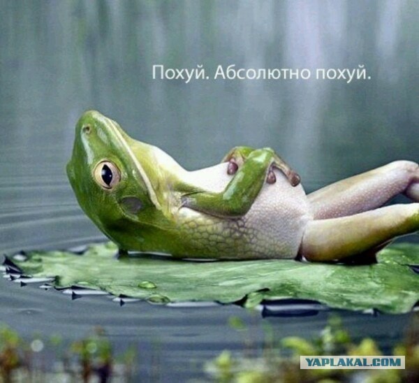 Это как так можно промахнутся, в наше то время с их хваленными технологиями