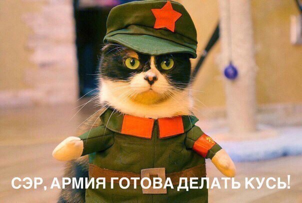 130 картинок для поднятия настроения!