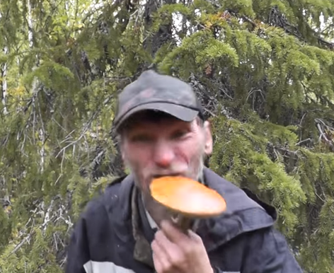 Грибной сомелье