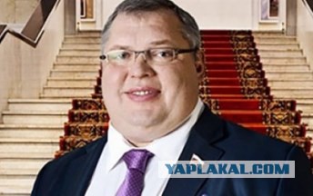 Поклонскую лишили поста главы думской комиссии по доходам