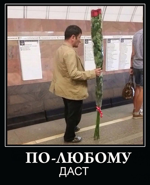 И шо у нас тут? Опа, картинки что-ли?