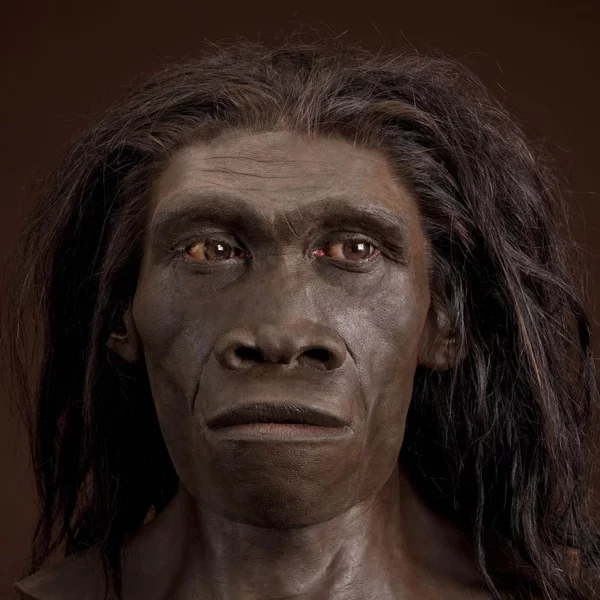 Откуда взялись неандертальцы и кроманьонцы - ЯПлакалъ