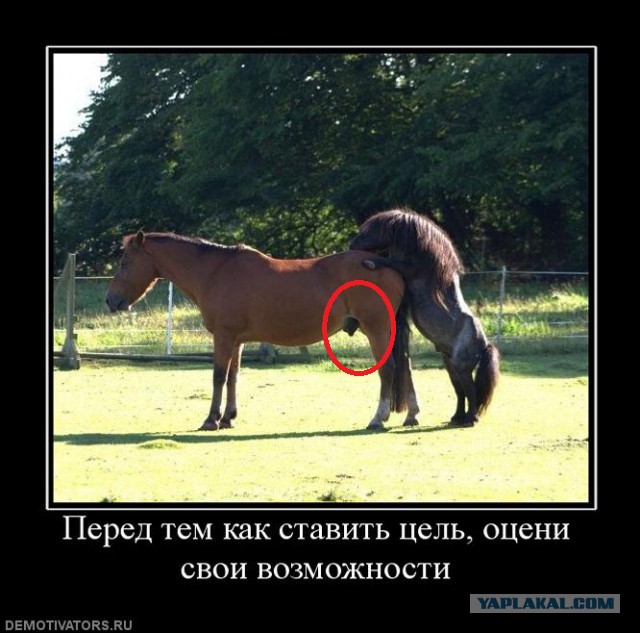 Демки и ностальджи