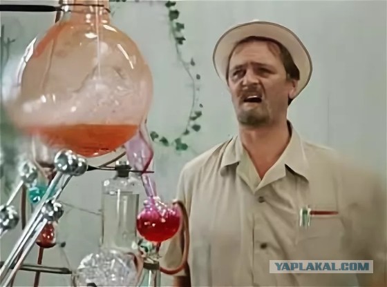 Кот душит зайца!