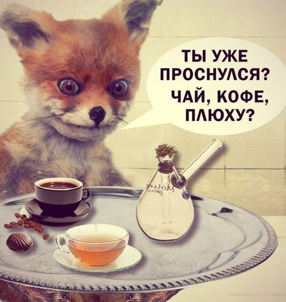 Бредзона 12.01.20