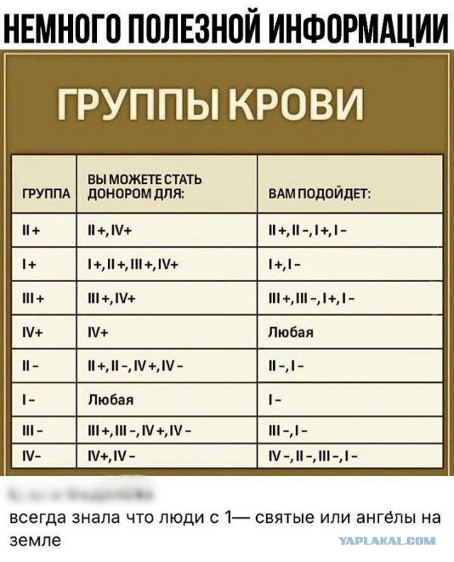 Бредзона 22.04.20