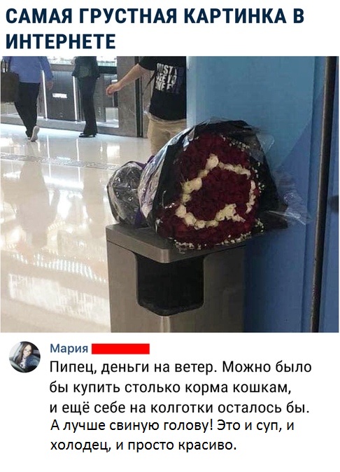 Так себе картинки 11.05.20