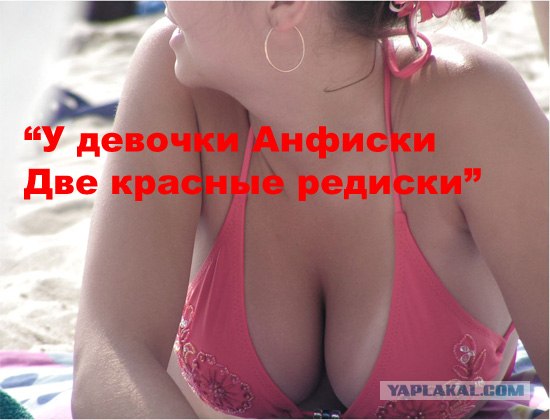 Недетские загадки для ЯПлакалъ
