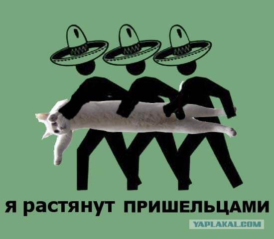 Фотожаба: Меня похитили