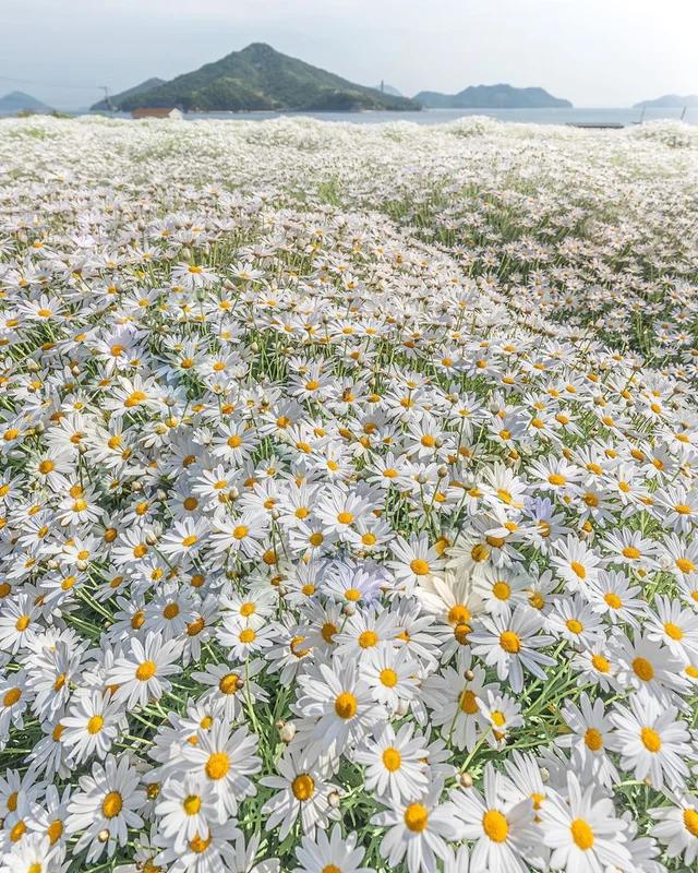 20 фотографий природы, доказавшей, что она может впечатлять не хуже фантастических фильмов