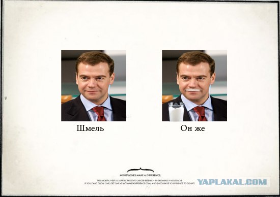 Усы творят чудеса!