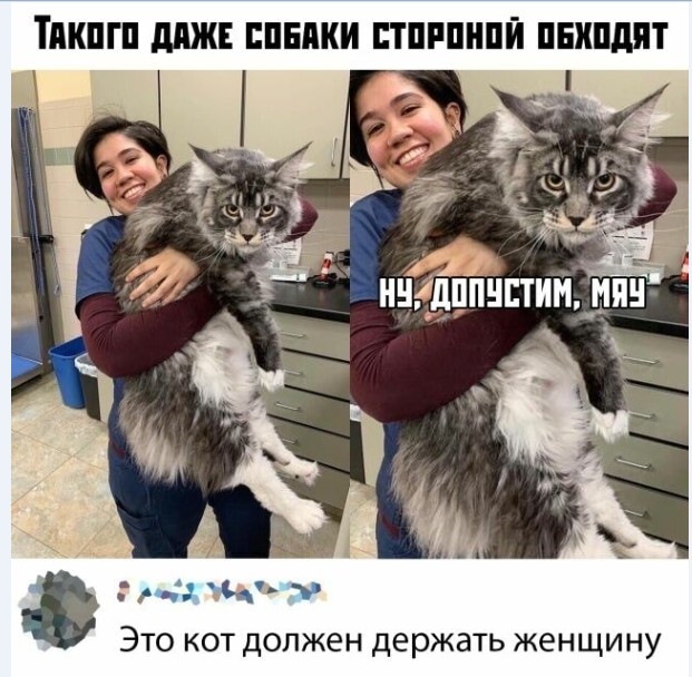 Картинки и мемы для настроения 027
