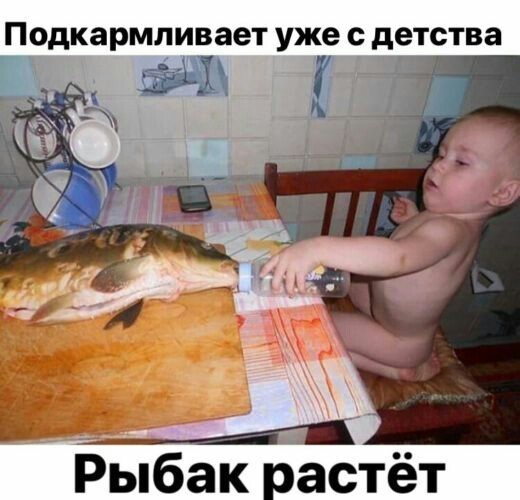 Кучка картинок из недр интернета