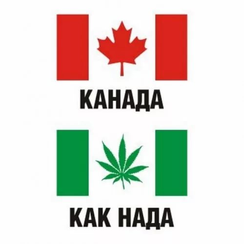 Тем временем в Канаде...