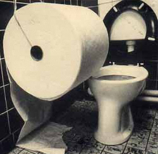 Психанул. Дачный сортир «king size»