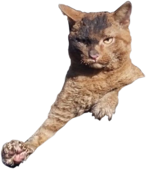 Сильный и независимый