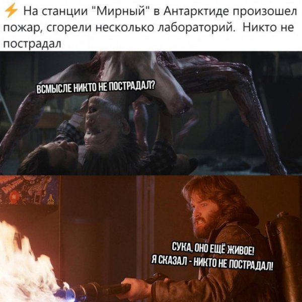 Прикольные и просто красивые картинки 29.06.2021