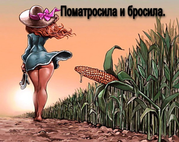 Всяческие картинки