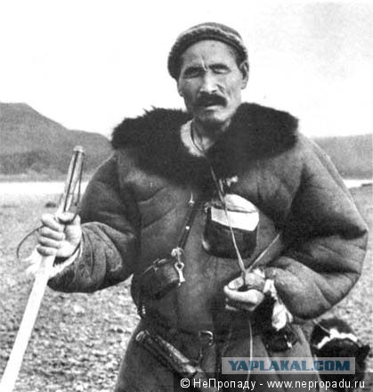 Можно ли выжить в Сибирской тайге?