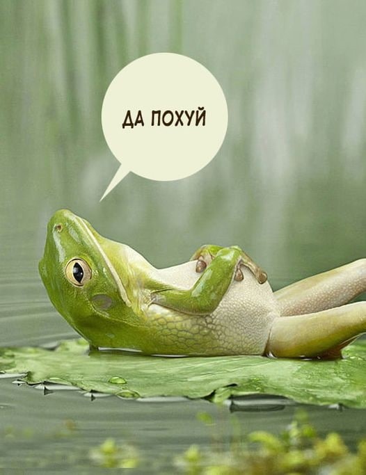 Картинки для поднятия настроения