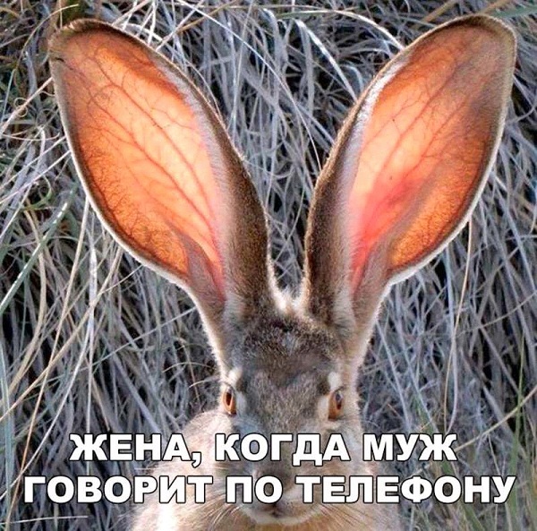 Есть два типа девушек и другие картинки 20.12.21