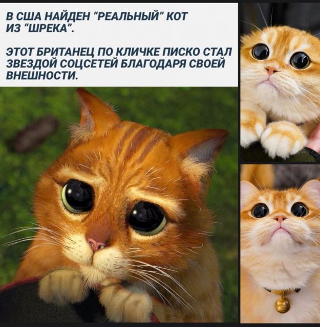 Картинки и буквы 15.07.22