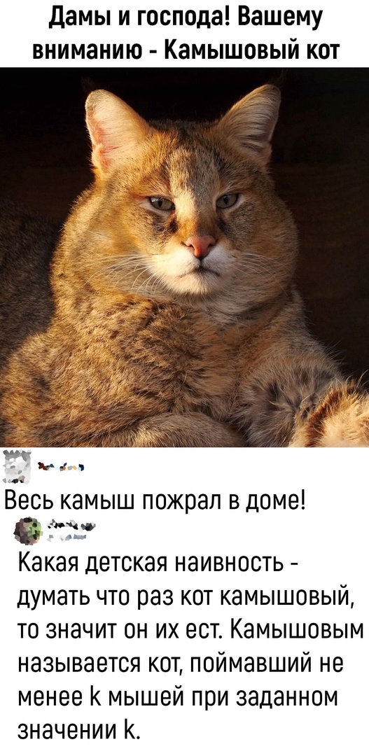 Так себе картинки 11.04.22