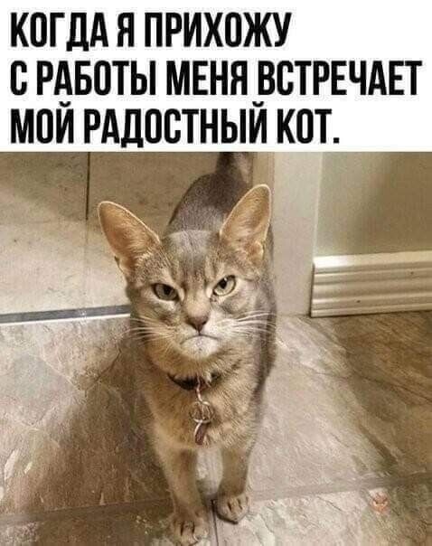 Весёлые картинки 03.06.2022
