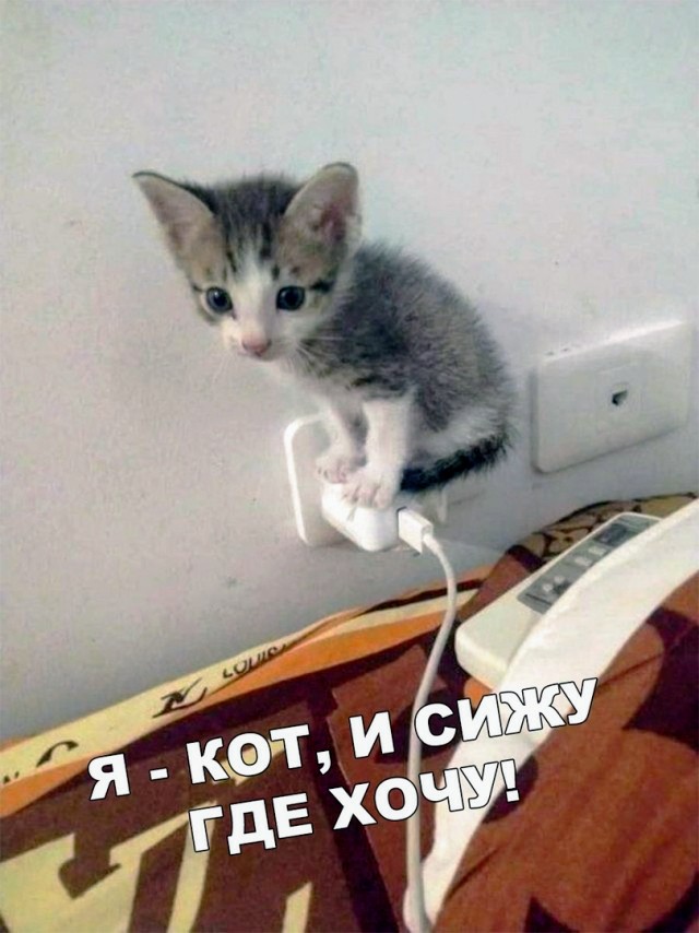 Картинки и мемы для настроения - 11