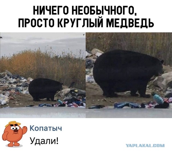 Картинки и мемы, всем хороших выходных