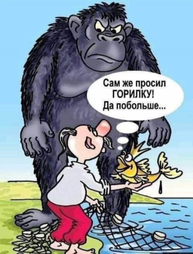 Так себе картинки 15.09.22